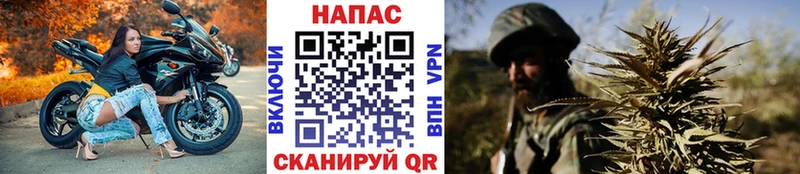 MEGA ТОР  Стародуб  даркнет официальный сайт  МАРИХУАНА тримм 